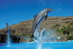 Kanāriju salas  - Tenerife Estravel Latvia